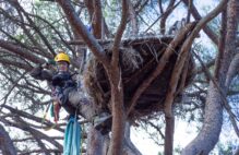 La agente forestal Beatriz García