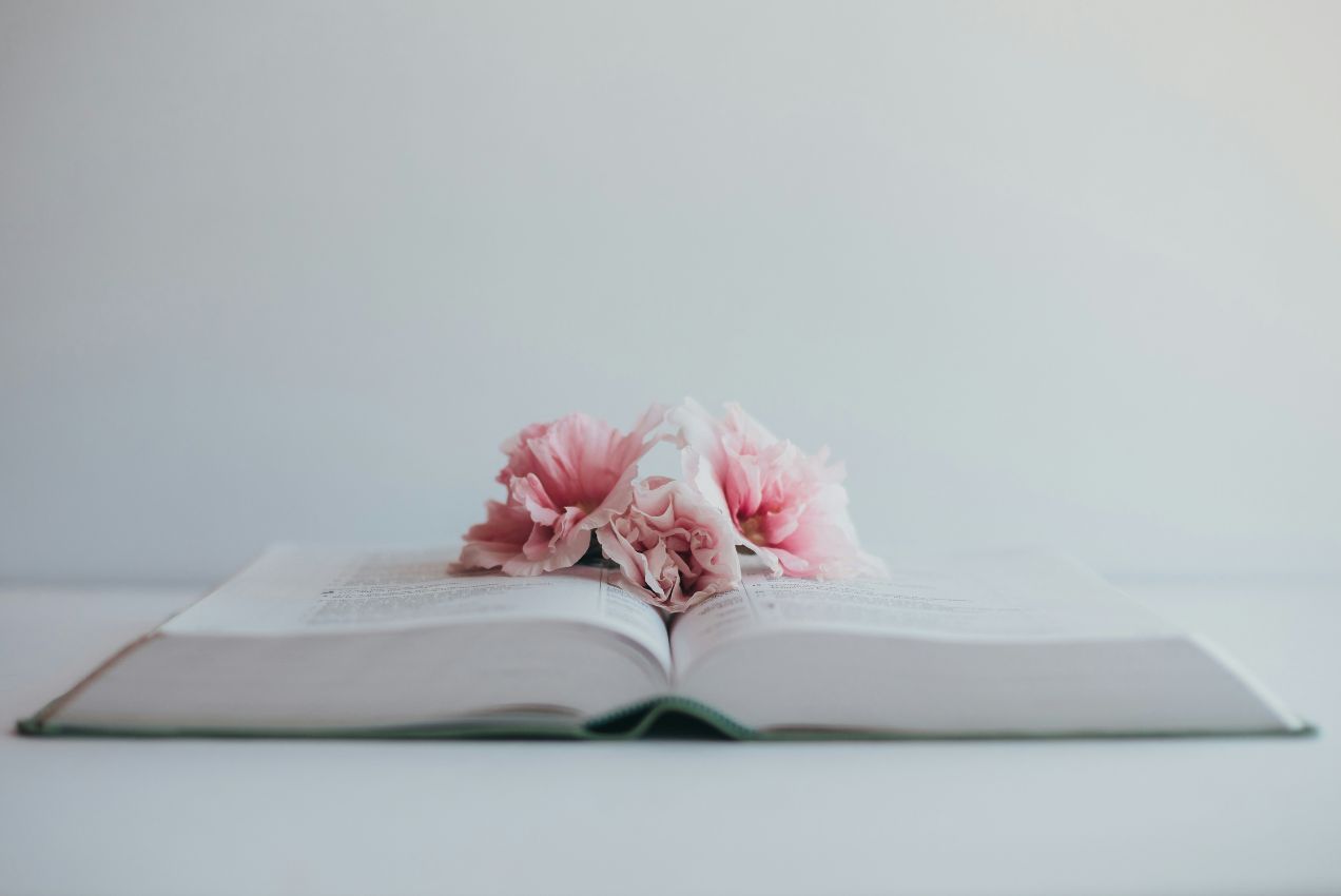 libro