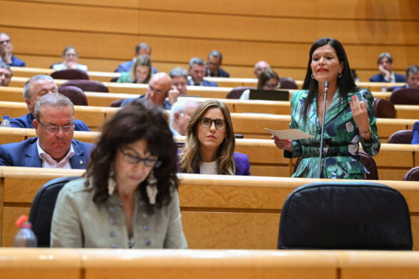La senadora popular Nidia Arévalo interpela a la ministra de Igualdad, Ana Redondo, durante la sesión de control al Gobierno celebrada este martes en el Senado.