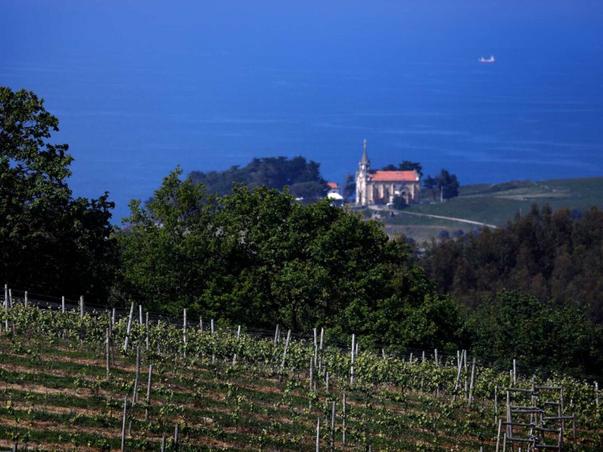 Los viñedos de Bodegas Miradorio con la Iglesia del Remedio y el mar al fondo