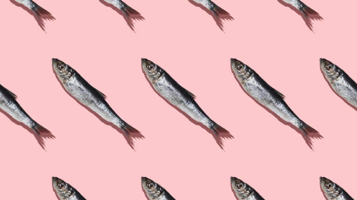 Pescado - Salud
