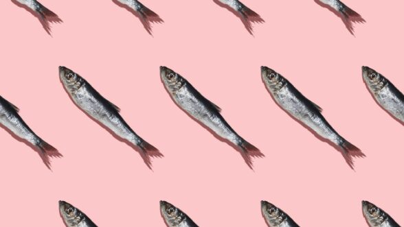 Pescado - Salud