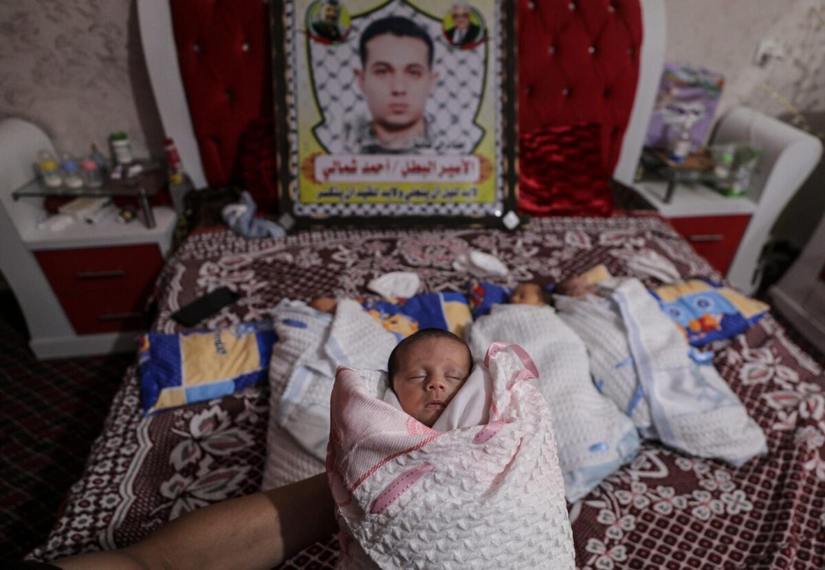 Esperma palestino