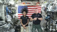 Barry Wilmore y Sunita Williams - Sociedad