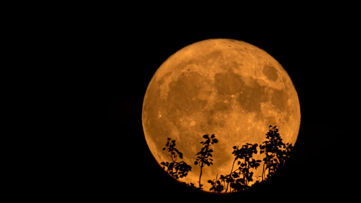 Luna llena naranja - Sociedad