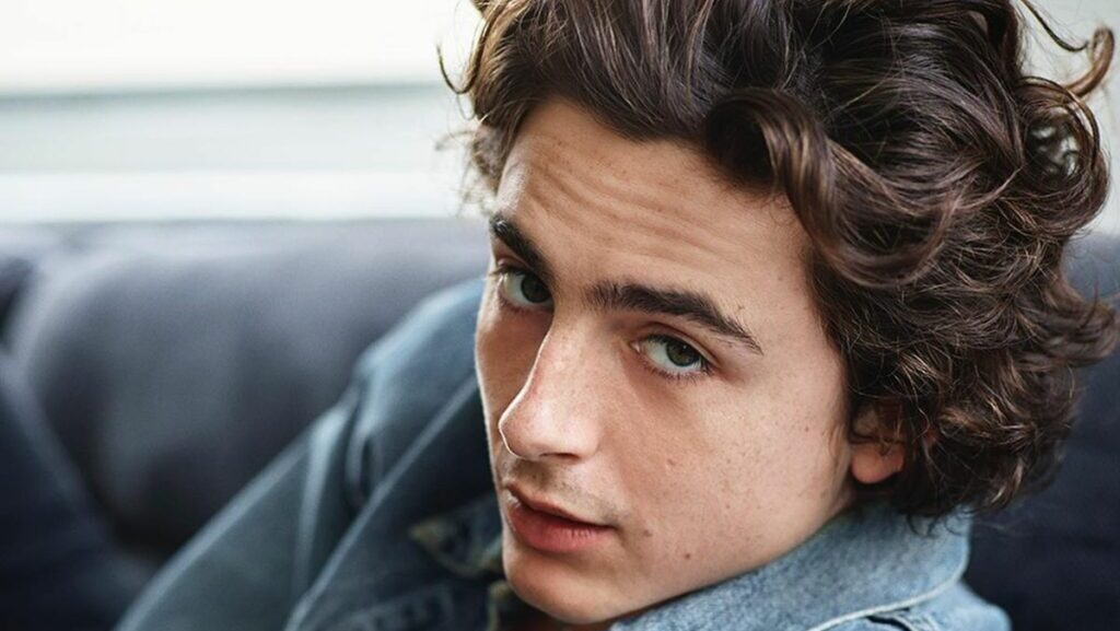 Temporada 3 de Miércoles - Timothée Chalamet