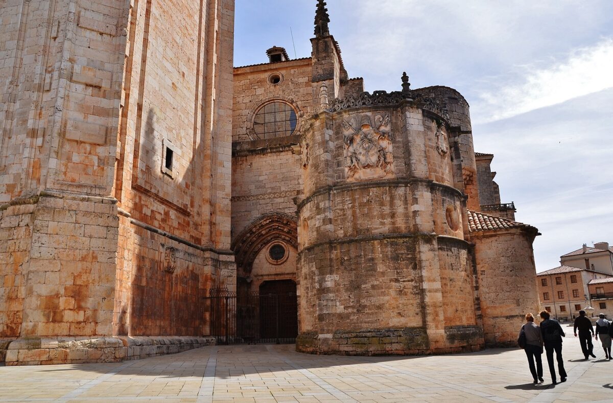 Catedral de la Asunción de la Virgen (El Burgo de Osma) - Sociedad