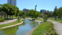 Jardín del Turia - Sociedad