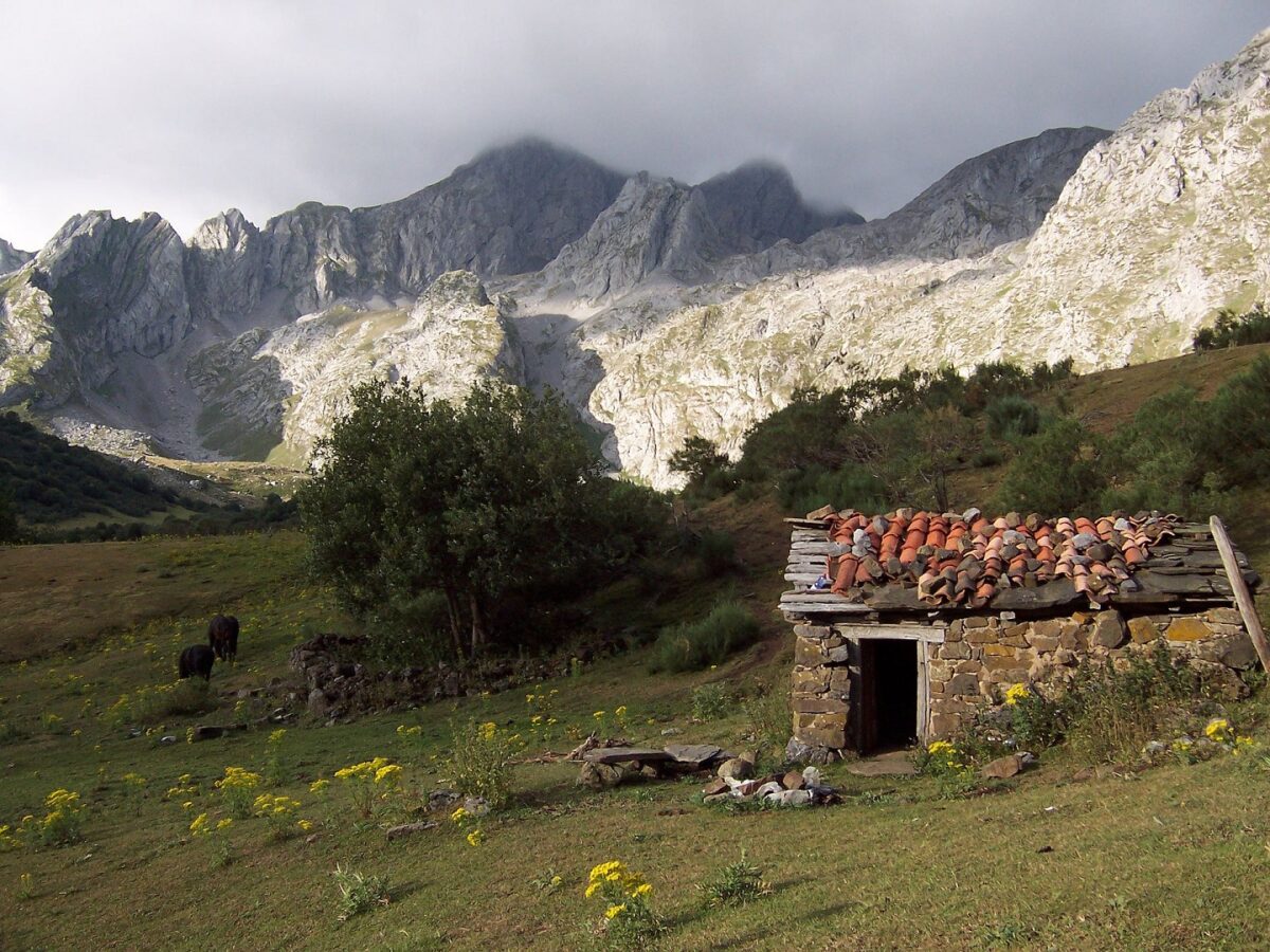 Parque natural de Las Ubiñas-La Mesa - Sociedad