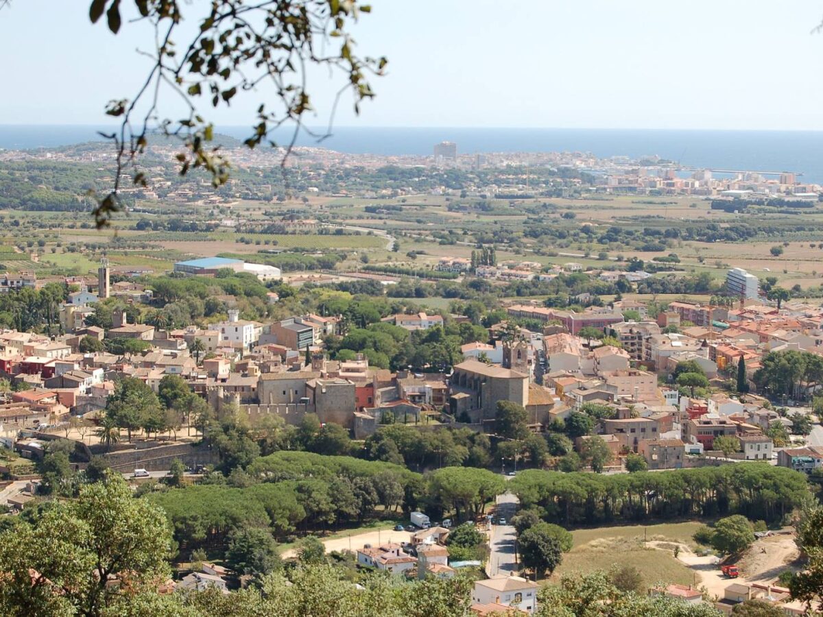 Calonge (Costa Brava) - Sociedad