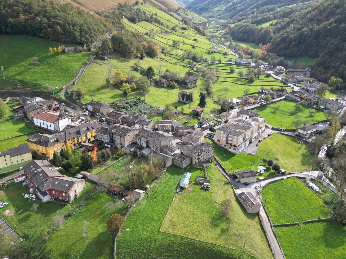 Vega de Pas (Cantabria) - Sociedad