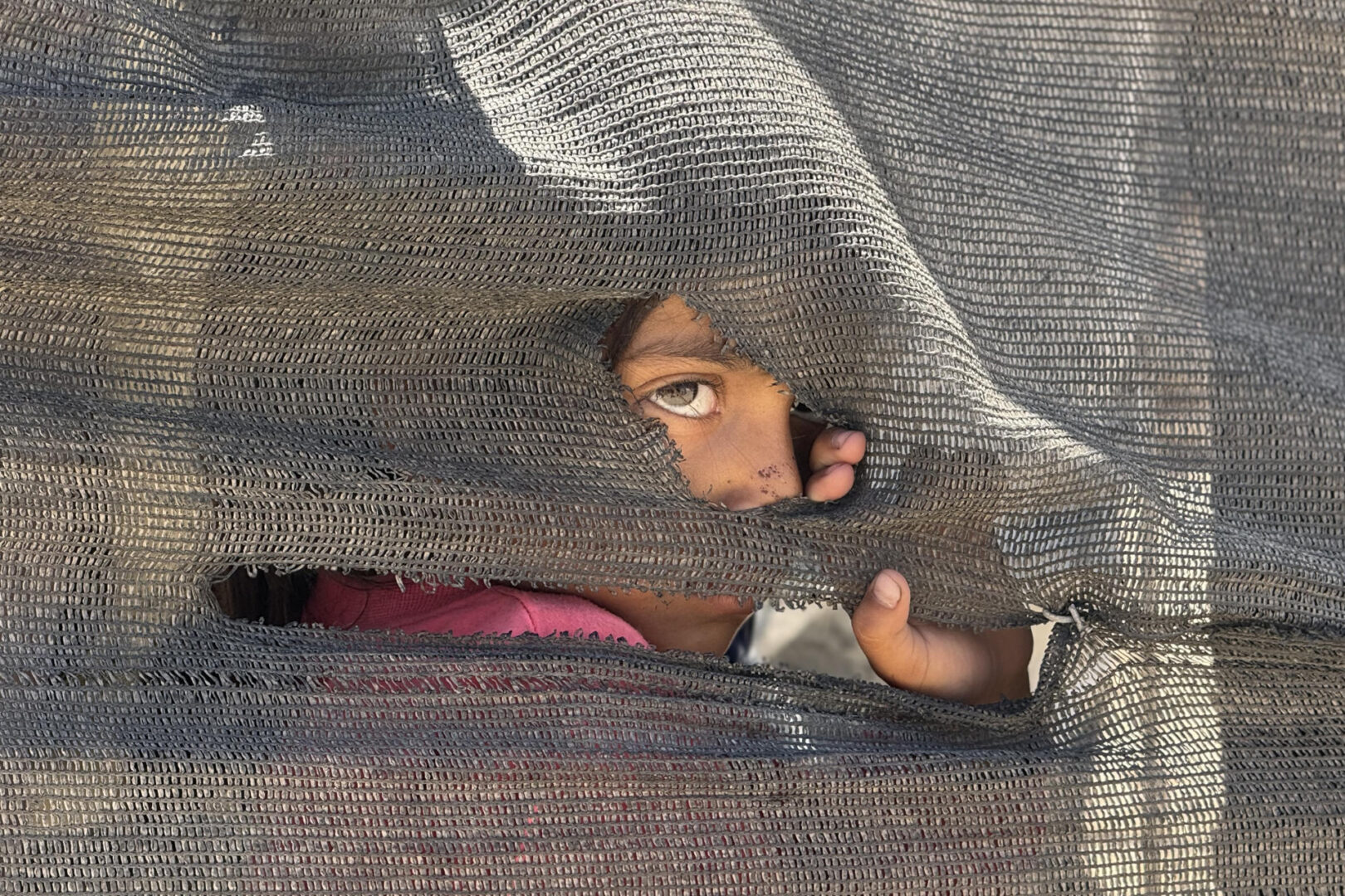 Niña