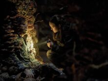 Infecciones por hongos en The Last of Us - Cultura