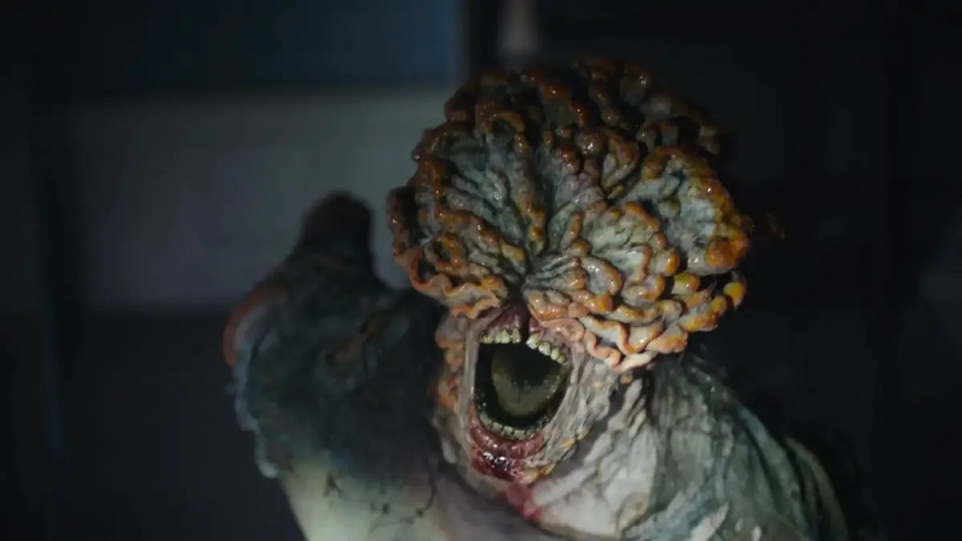 ¿Qué infecciones por hongos como en 'The Last of Us' existen en la vida real? ¿Qué infecciones por hongos como en 'The Last of Us' existen en la vida real?