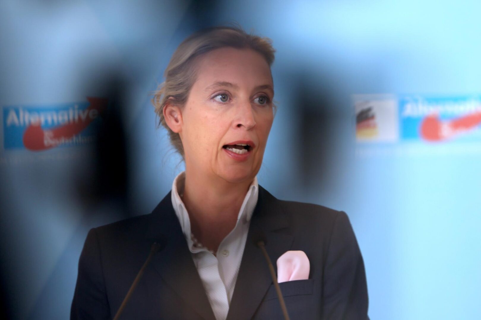 Líder AfD