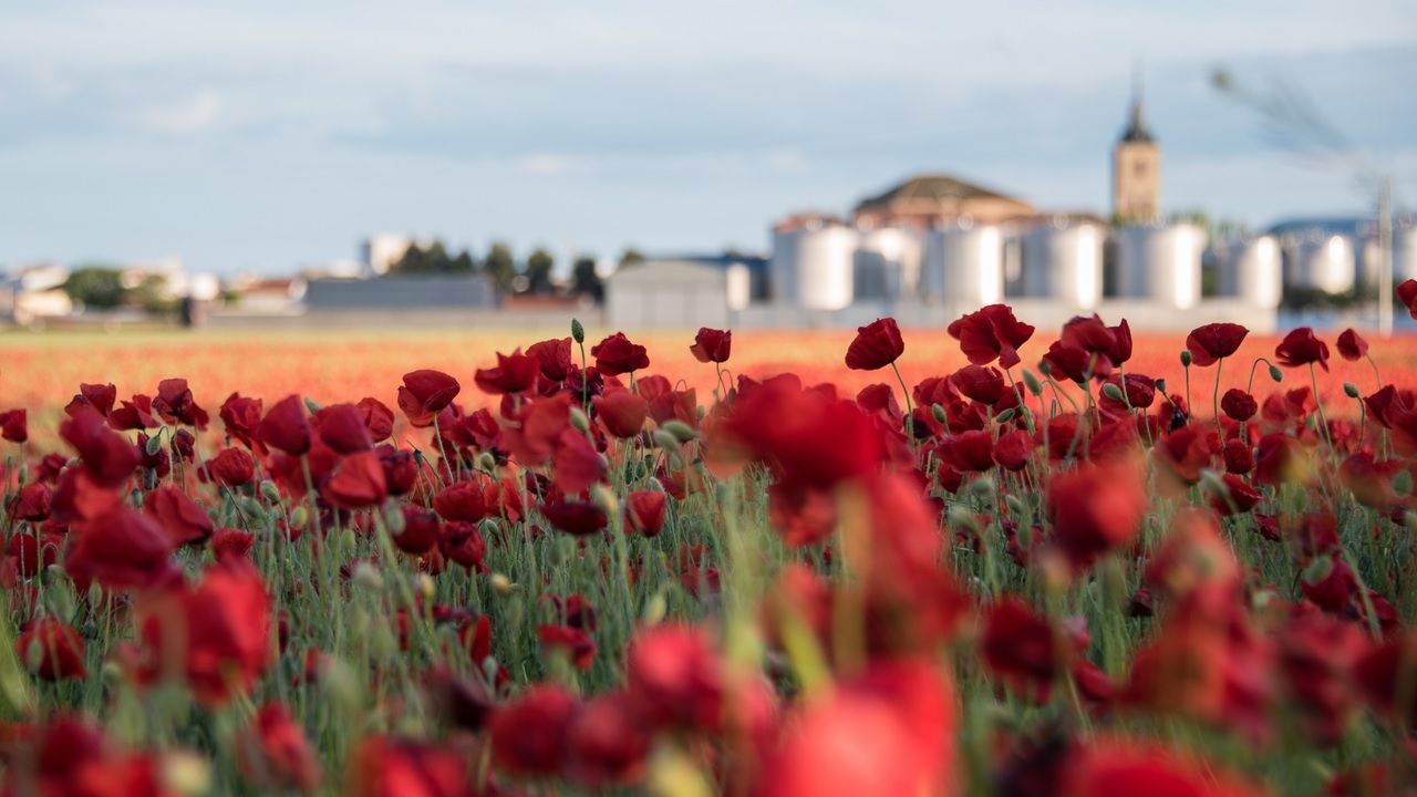 El pueblo de Ciudad Real sin turismo al que llaman el 'Mar Rojo de la Mancha' El pueblo de Ciudad Real sin turismo al que llaman el 'Mar Rojo de la Mancha'