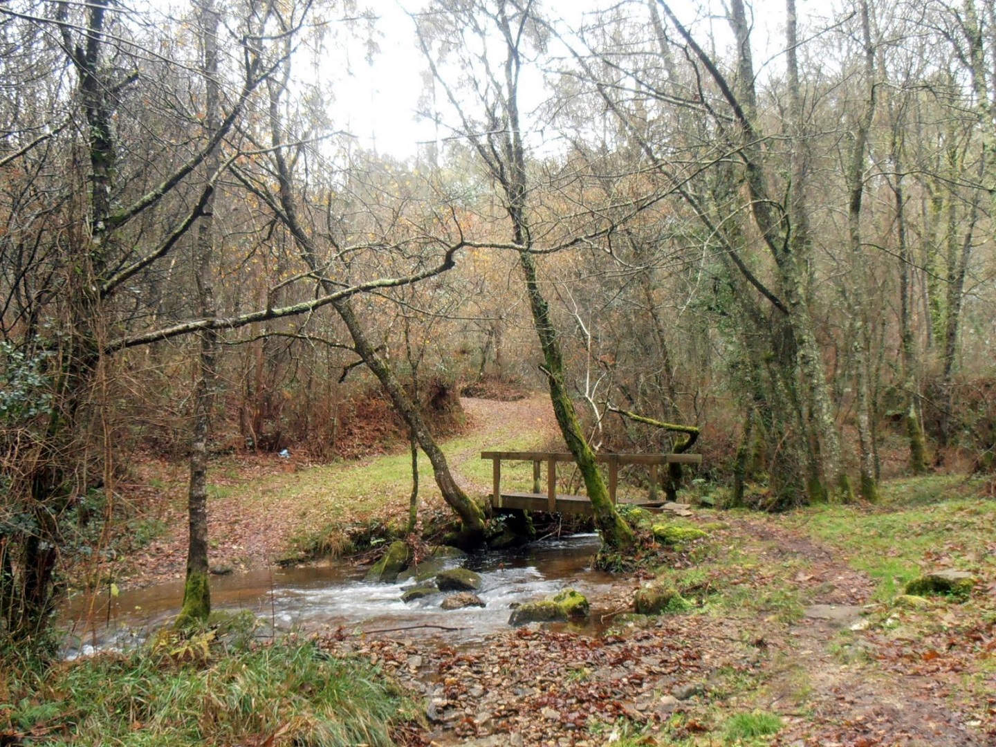 Toques (Galicia) - Sociedad