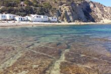 Cala Portitxol - Sociedad