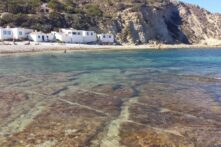 Cala Portitxol - Sociedad