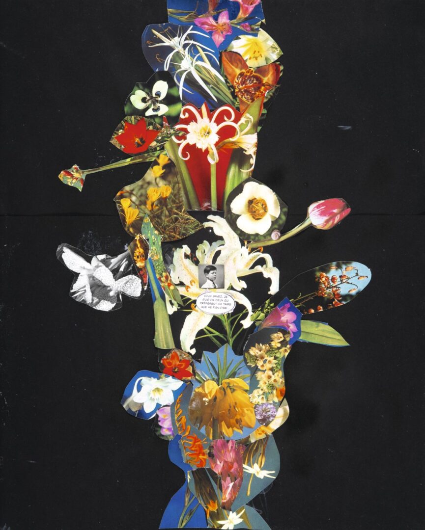 'Vous savez, je suis de ceux qui préfèrent se taire que ne rien dire', 2015. Collage sobre papel. Isabel Coixet
