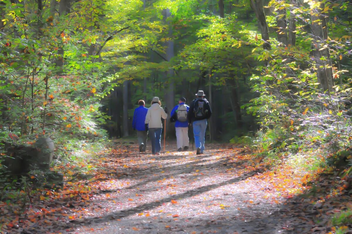 Red de Caminos Carpetania - Sociedad