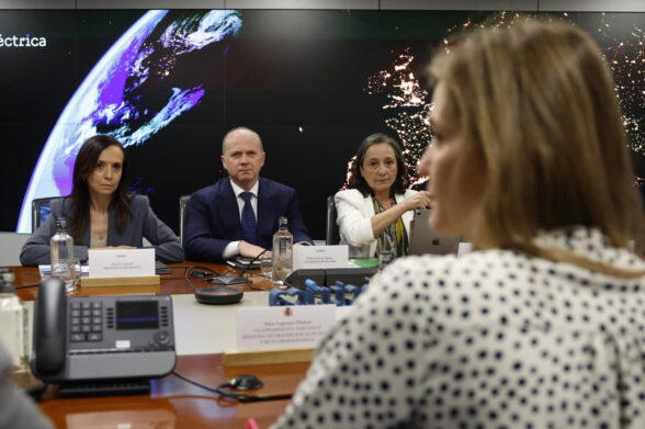 MADRID, 03/05/2025.- La vicepresidenta tercera del Gobierno y ministra para la Transición Ecológica y el Reto Demográfico, Sara Aagesen (de espaldas), preside la segunda reunión del Comité creado por el Gobierno para el análisis del apagón eléctrico del 28 de abril, este sábado en Madrid. EFE/Juan Carlos Hidalgo