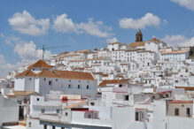 Alcalá de los Gazules - Sociedad