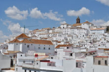 Alcalá de los Gazules - Sociedad