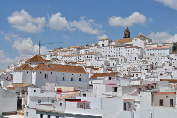Alcalá de los Gazules - Sociedad