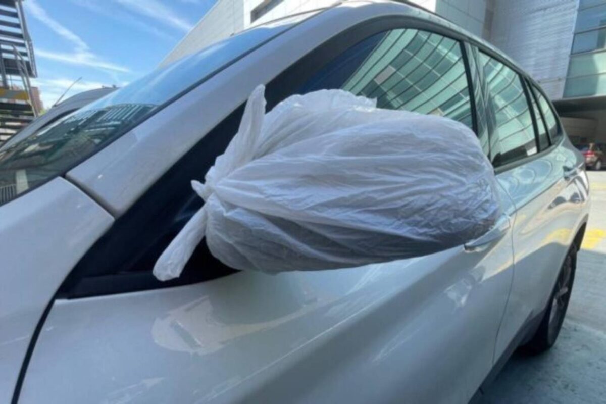 Bolsa en un retrovisor de coche - Sociedad