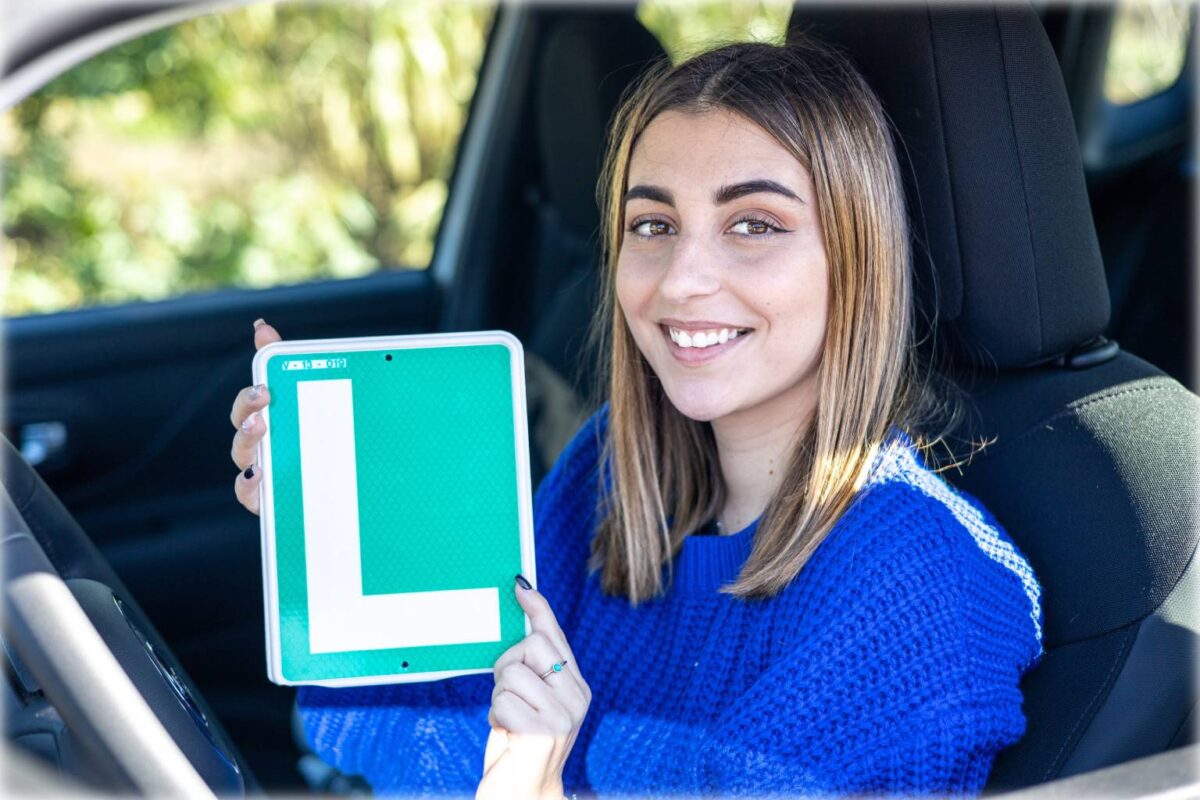 Carnet de conducir - Sociedad