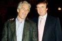 Jeffrey Epstein y Donald Trump - Internacional