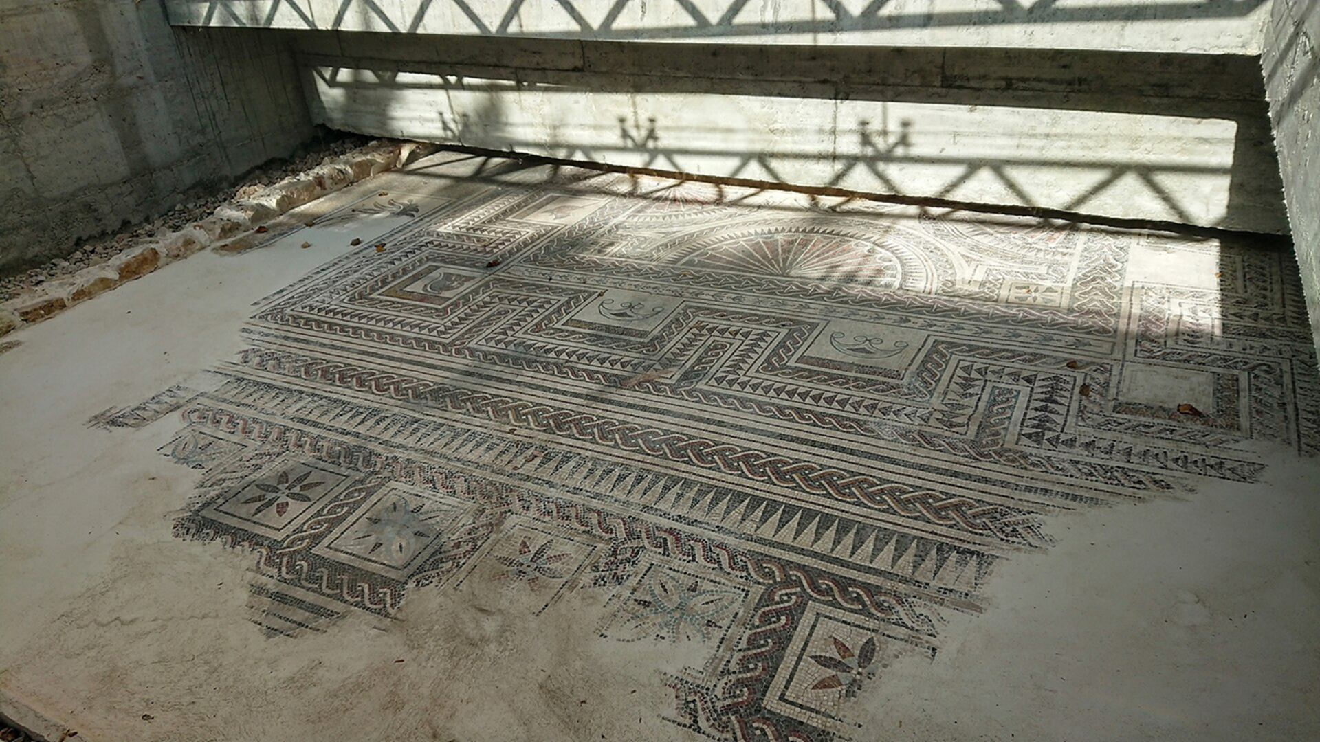 Mosaicos romanos en Medinaceli - Sociedad Mosaicos romanos en Medinaceli - Sociedad