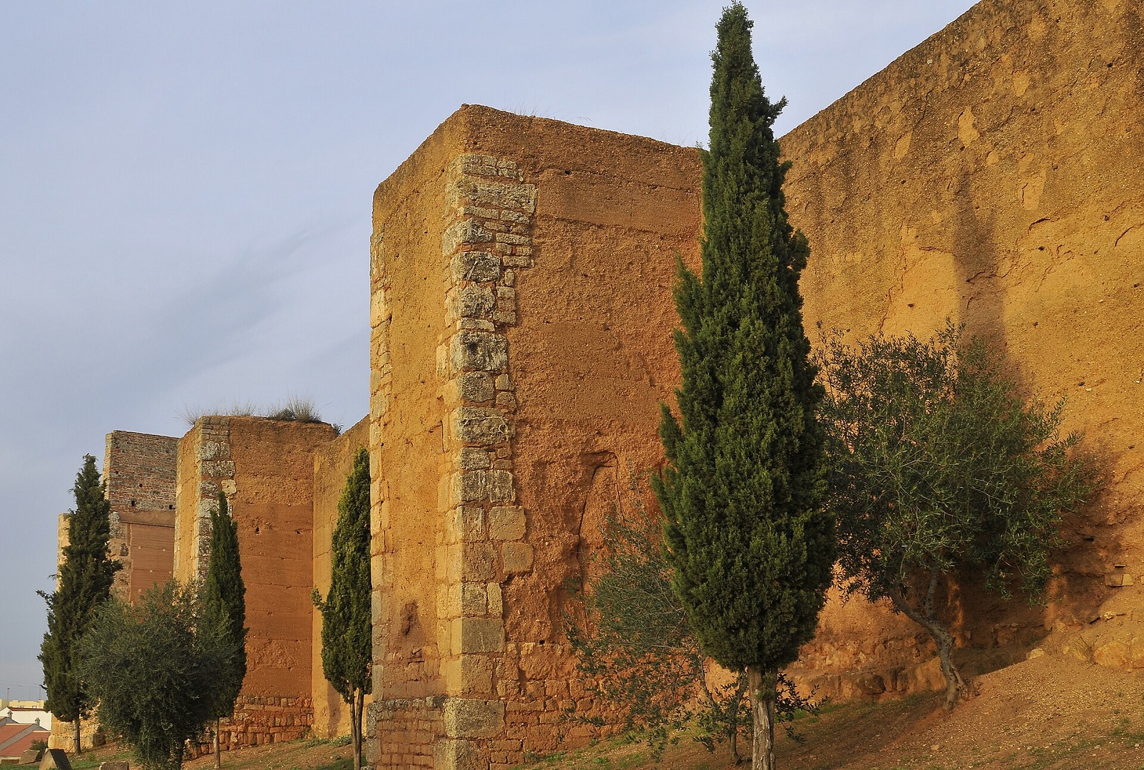 Muralla de Niebla - Sociedad Muralla de Niebla - Sociedad