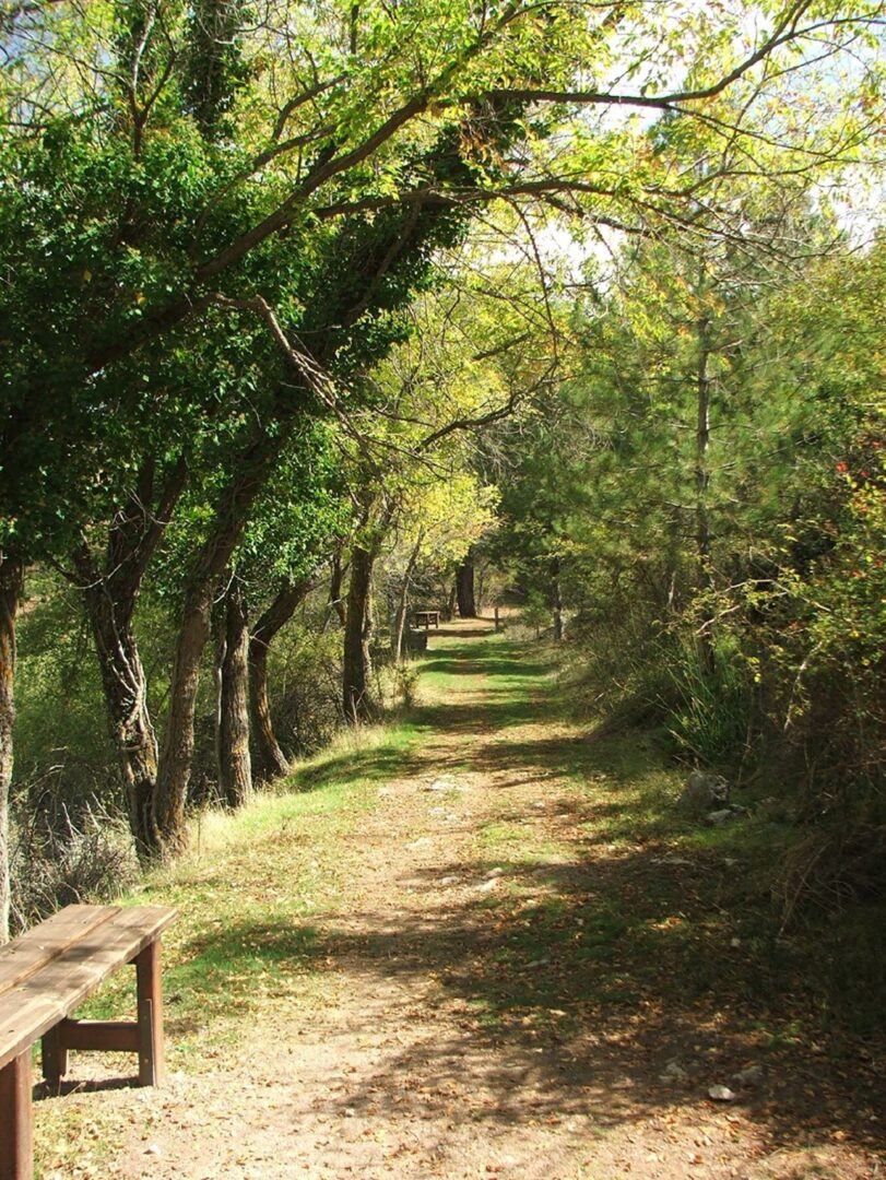 Parque Natural Sierra de Baza - Sociedad Parque Natural Sierra de Baza - Sociedad