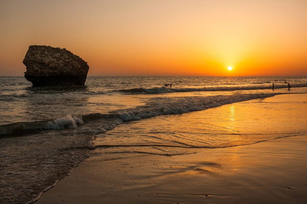 Playa de Doñana - Sociedad