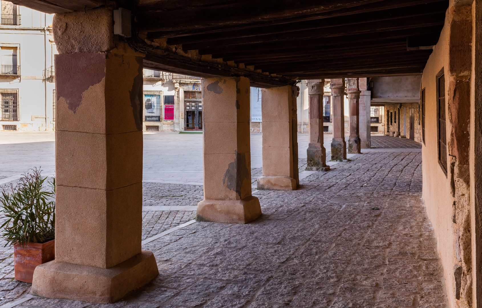Plaza Mayor de Medinaceli - Sociedad Plaza Mayor de Medinaceli - Sociedad