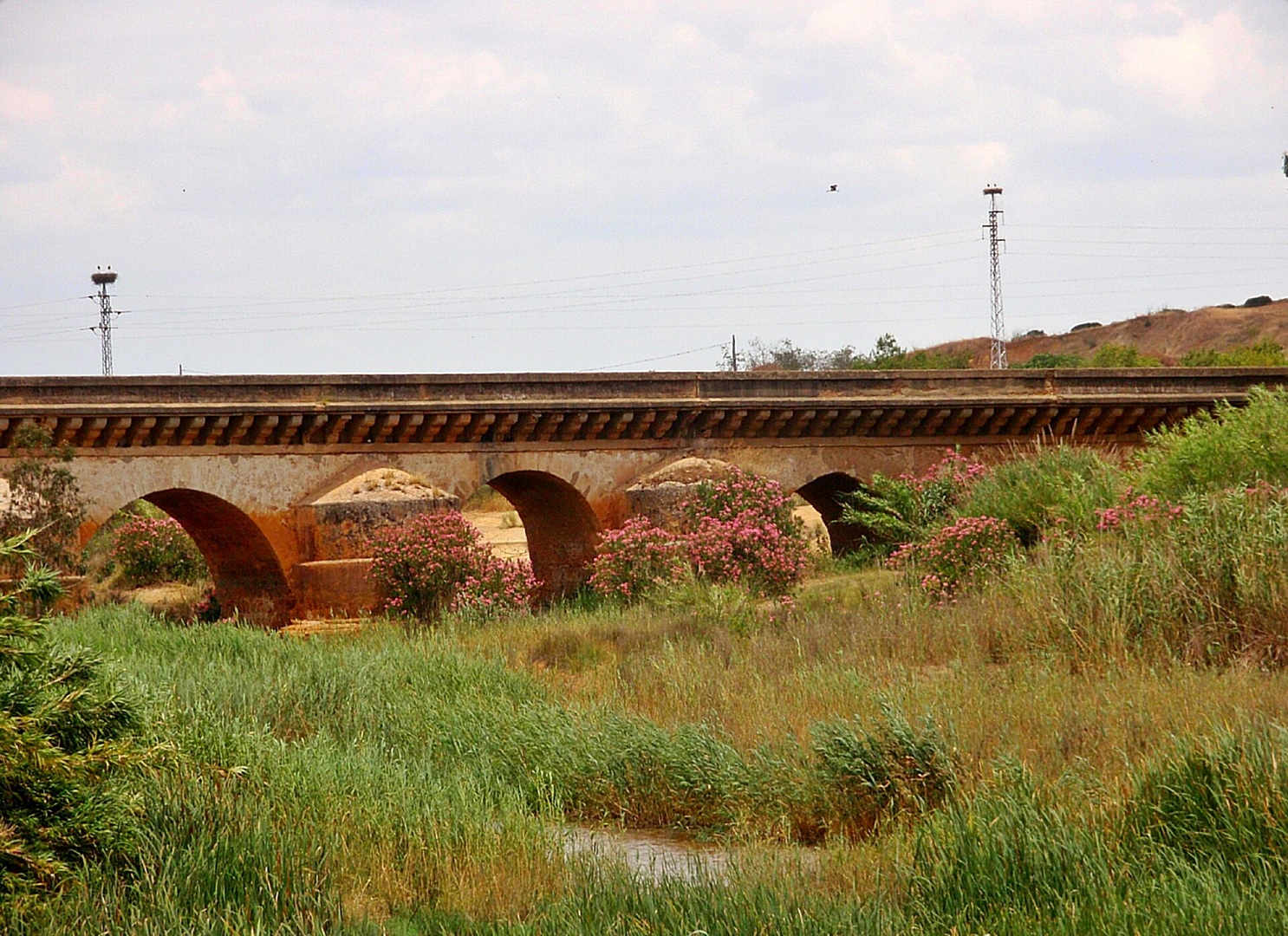 Puente romano en Niebla - Sociedad Puente romano en Niebla - Sociedad