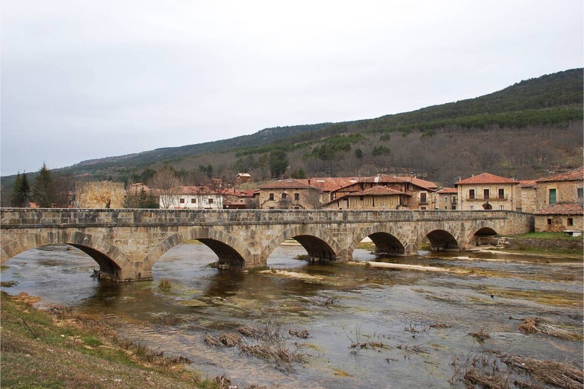 Salduero (Soria) - Sociedad
