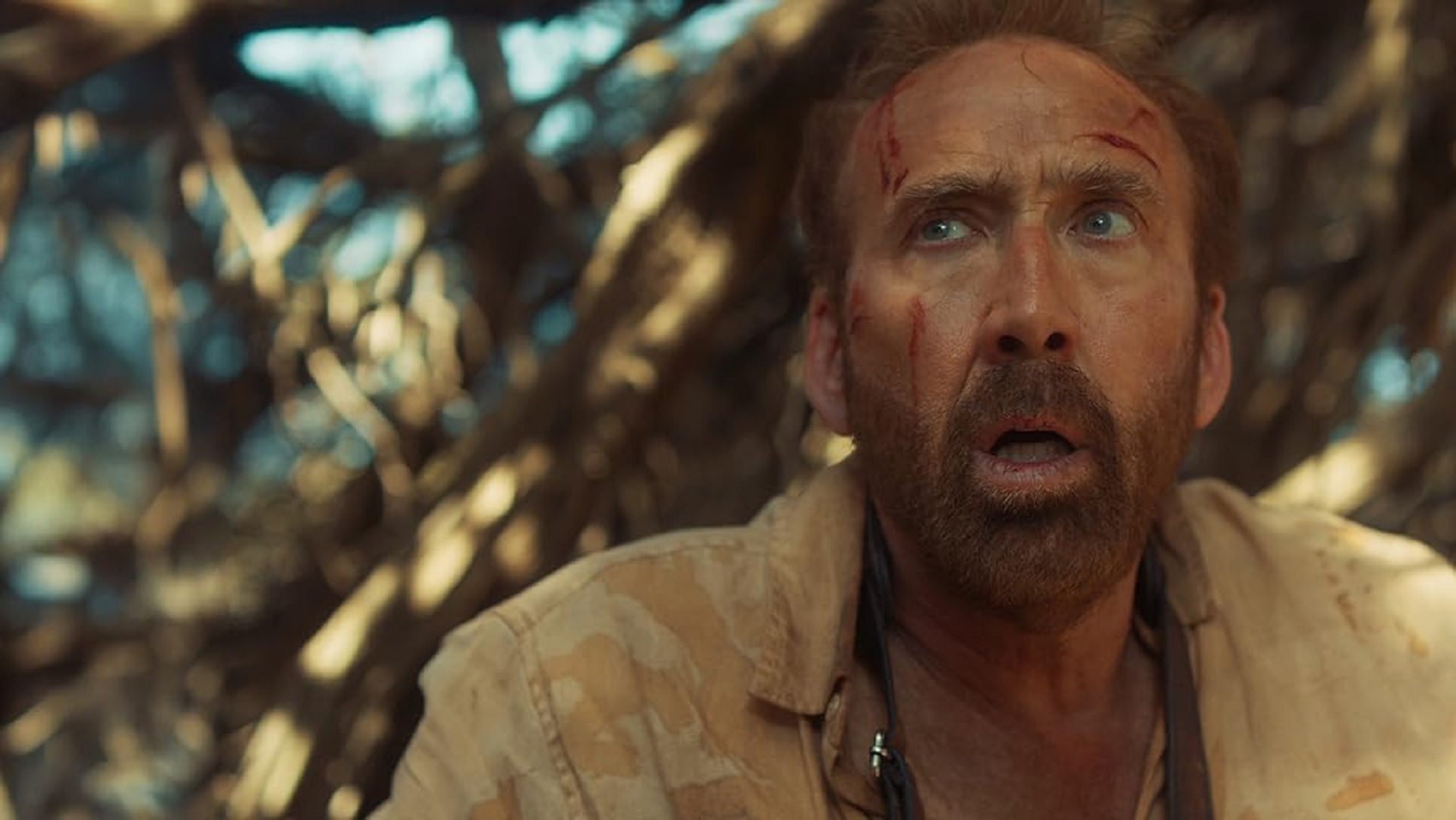 Nicolas Cage revela que estuvo a punto de morir en el rodaje de su nueva película: "No quiero repetir la experiencia" Nicolas Cage revela que estuvo a punto de morir en el rodaje de su nueva película: "No quiero repetir la experiencia"