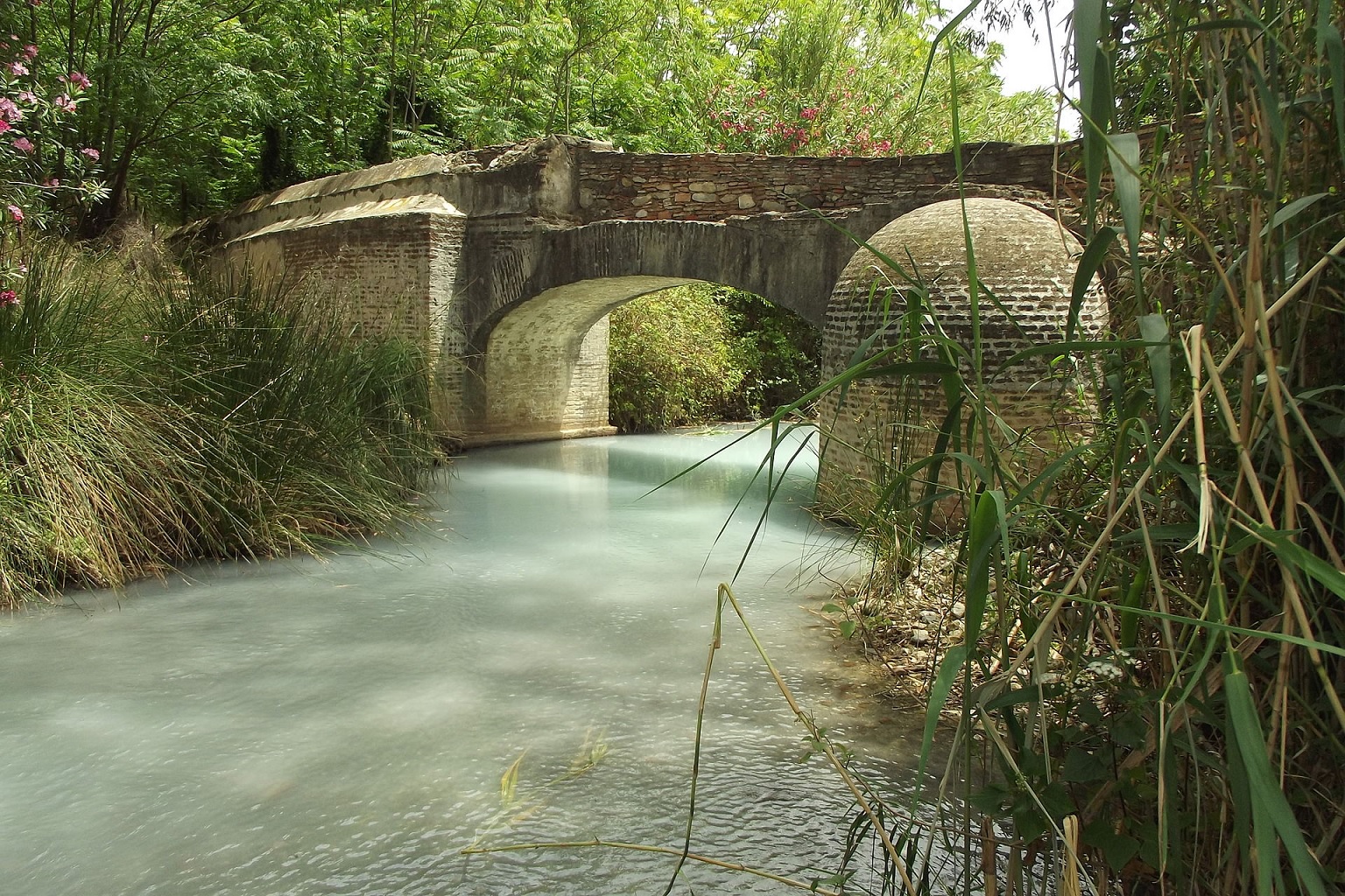 Baños Romanos de La Hedionda - Casares Baños Romanos de La Hedionda - Casares