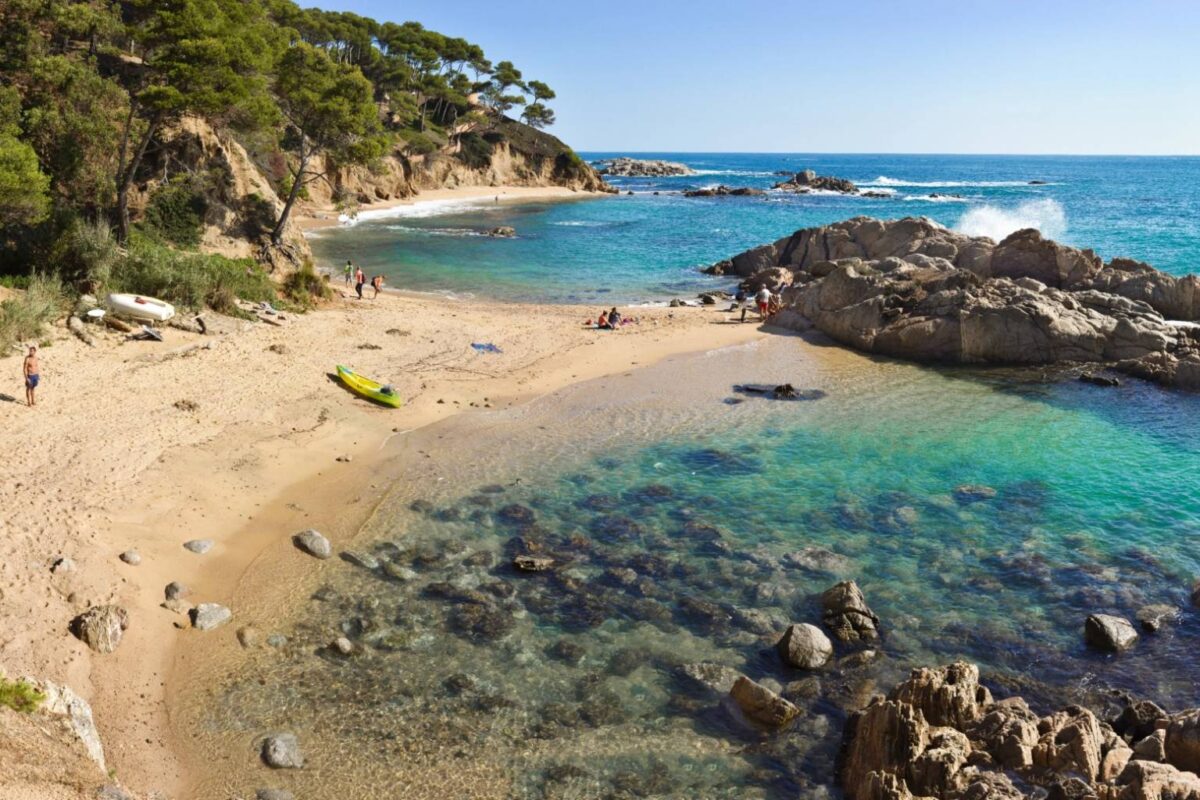 Cala Estreta - Sociedad