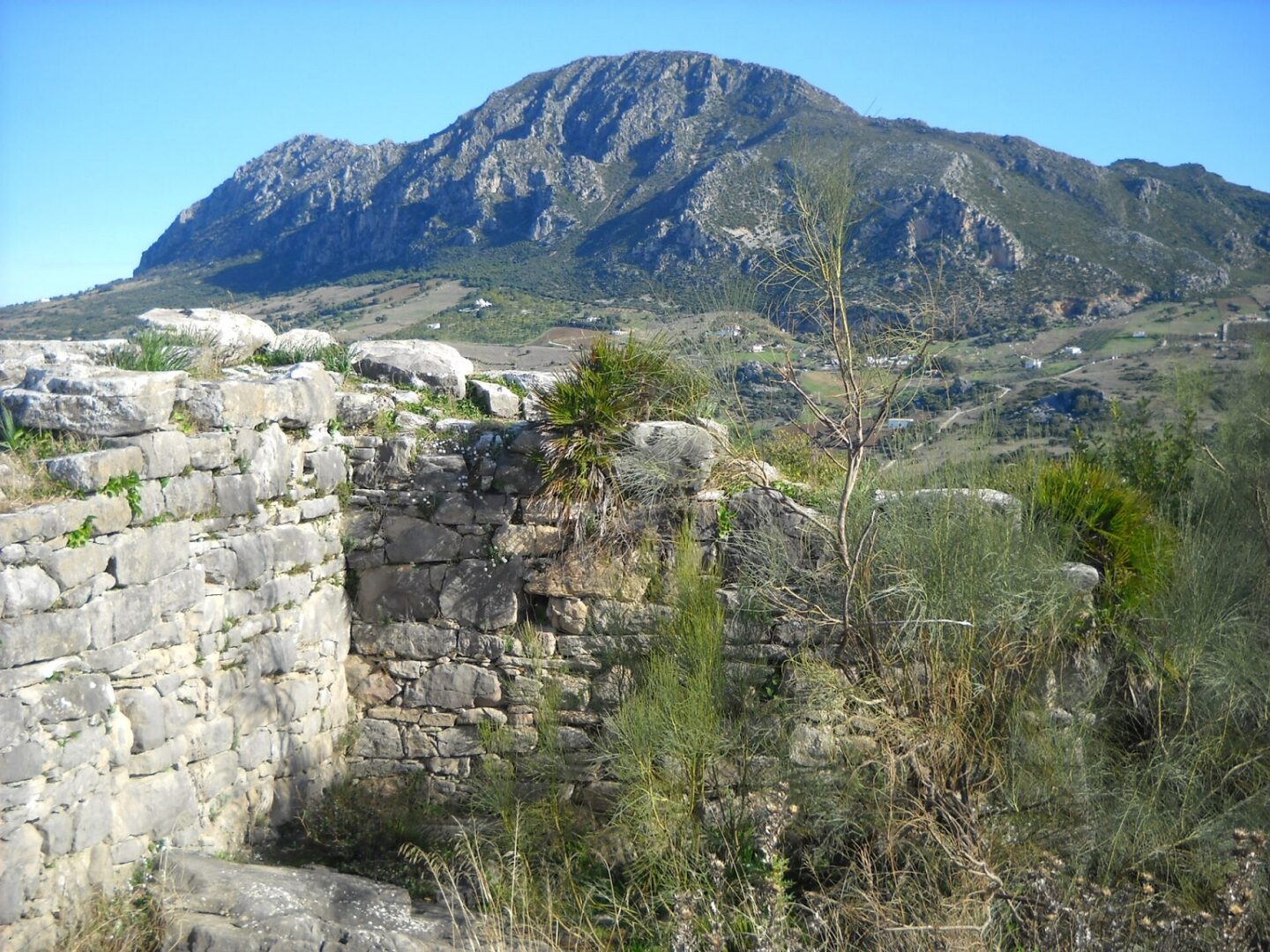 Lacipo - Casares Lacipo - Casares