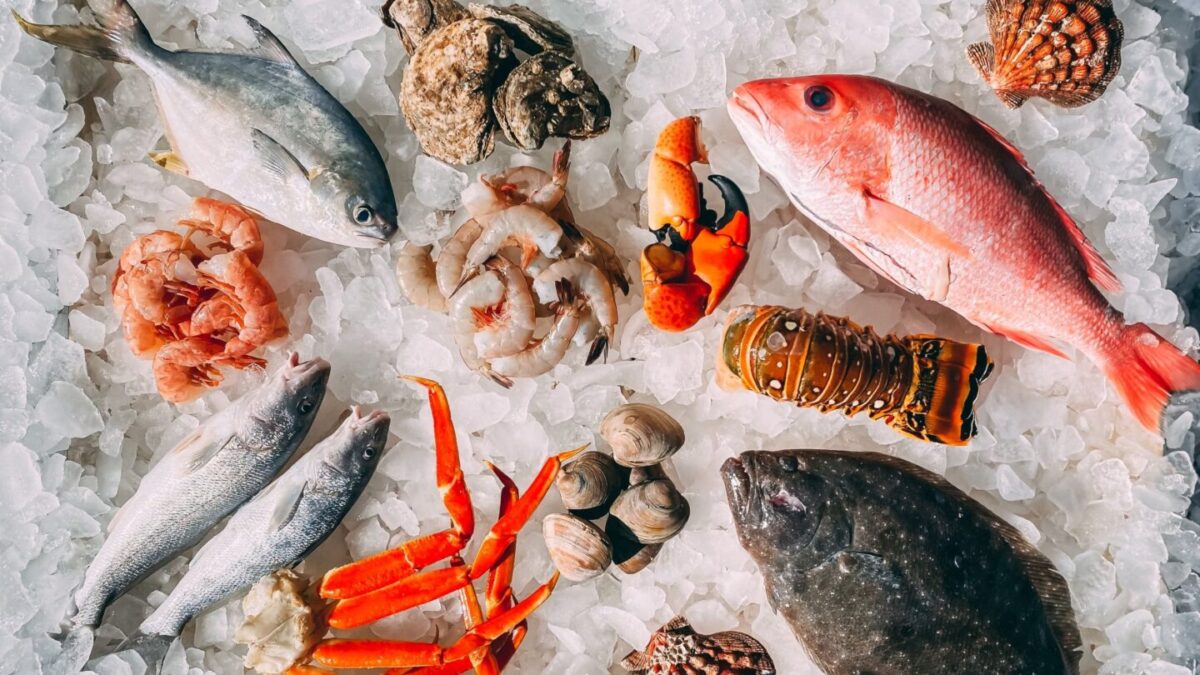 Pescados de verano, los más recomendados