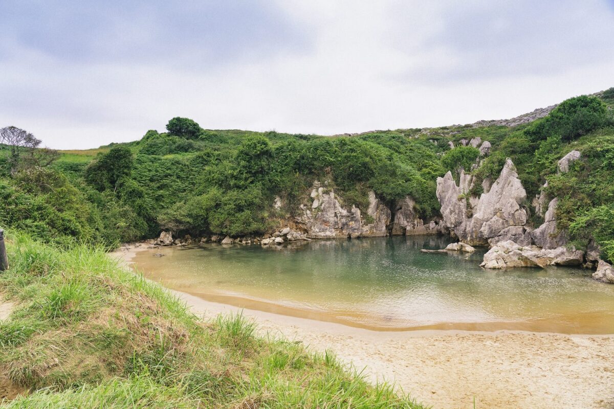 Playa de Gulpiyuri - Sociedad