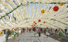 Pueblo lleno de flores en Portugal, Campo Maior