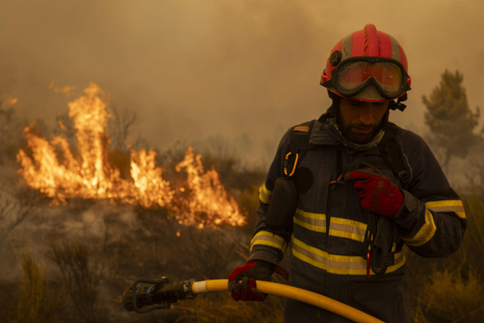 Los incendios forestales en España