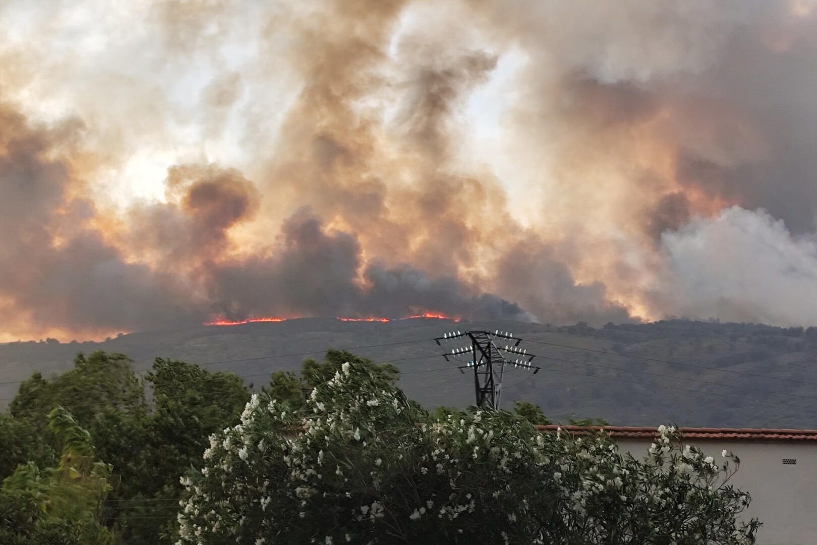 ¿Qué pasa en Oliva de Plasencia? La verdad sobre el temor del incendio de Jarilla