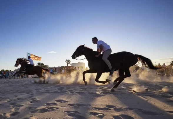 Les Corregudes de Joies de Pinedo, Valencia, son unas espectaculares carreras de caballos