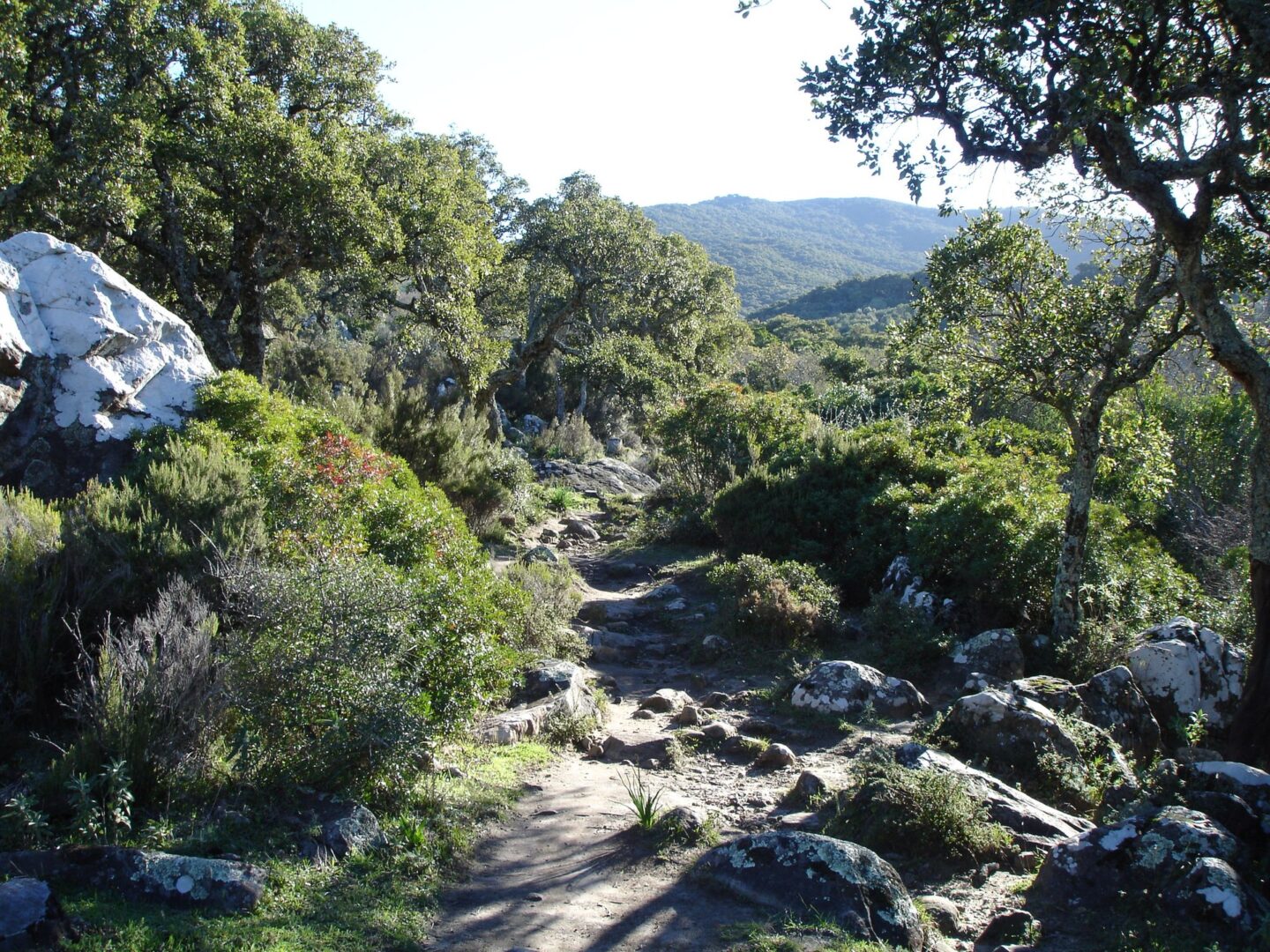 Parque Natural de Los Alcornocales - Sociedad